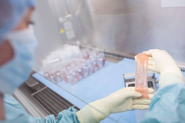 Skin Grafting Market by Graft Type (Autograft, Allograft, Xenograft), Product (Graft Mesher, Dermatome), Application (Burns, Surgical Wounds), and End User (Hospitals & Clinics, Research Institutes) - Global Outlook & Forecast 2023-2031