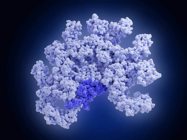 Proteomics Market by Product & Services (Instrument, Reagent, and Software & Services), Application (Clinical Diagnostics and Drug Discovery), End Users (Hospitals, Clinical Laboratories, and Pharmaceutical Companies) – Global Outlook & Forecast 2021-2031
