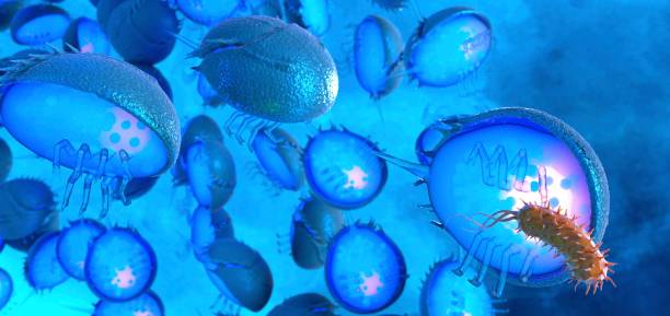 Endotoxin Testing Market by Test (Rabbit Test, Monocyte Activation Assay Test, Limulus Amebocyte Lysate Test), by Product (Instrument, Consumables, And Software), by Application (Medical Device Manufacturing, Pharmaceutical Manufacturing, Food & Beverage Manufacturing, and Raw Materials Production)– Global Outlook & Forecast 2022-2030