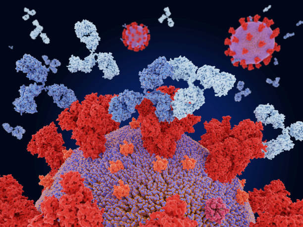 Monoclonal Antibody Therapy Market by Type (Human mAb, Chimeric mAb, Humanized mAb and Murine mAb), by Disease Area (Cancer, Autoimmune Diseases, Inflammatory Diseases and Infectious Diseases), by Production Type (In Vitro and In Vivo), by End-user (Hospitals, Research Clinics and Others) - Global Outlook & Forecast 2022-2030