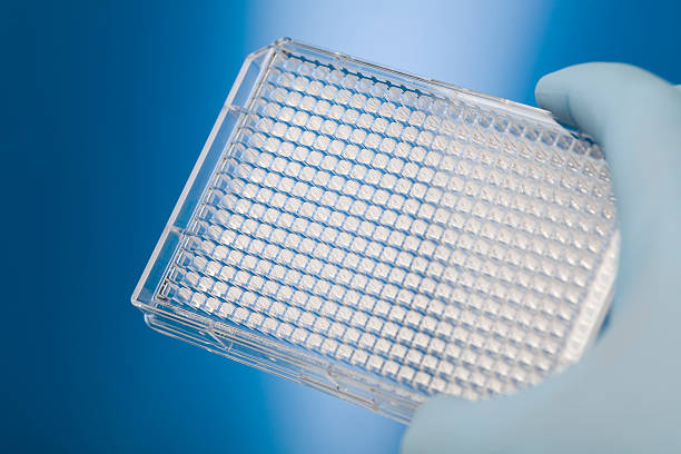 Microarray Analysis Market by Products & Services (Instruments, Consumables, and Software & Services), Type (DNA Microarrays and Protein Microarrays), by Application (Research Applications, Disease Diagnostics, and Drug Discovery), by End User (Pharmaceutical & Biotechnology Companies, Diagnostic Laboratories, and Research & Academic Institutes) – Global Outlook & Forecast 2022-2030