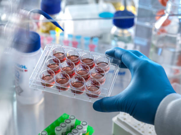 Leukemia Therapeutics Market by Type (Acute Lymphocytic Leukemia (ALL), Acute myeloid Leukemia (AML), Chronic Myeloid Leukemia (CML), and Chronic Lymphocytic Leukemia (CLL)), Treatment Type (Targeted Drugs, Chemotherapy, and Immunotherapy), Mode of Administration (Injectable and Oral) – Global Outlook & Forecast 2022-2030