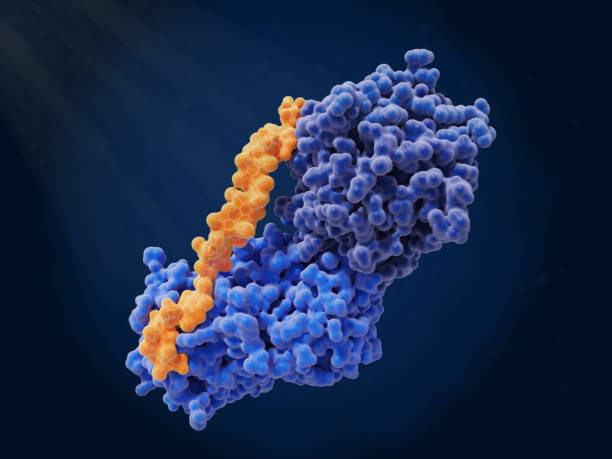 Antithrombin Market by Application (Therapeutics, Research, Diagnostics), by Source (Human, Goat Milk, Bovine), by Dosage Form (Lyophilized, Liquid) – Global Outlook & Forecast 2022-2030