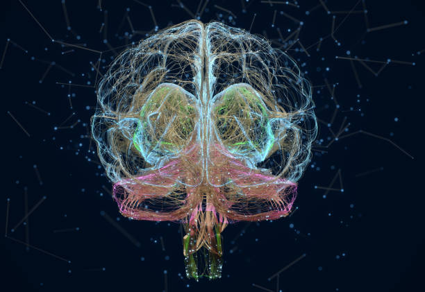 Biosimulation Technology Market by Product Type (Software and Services), by Application (Drug Discovery, Drug Development and Others), by End User (Pharmaceuticals & Biotechnology Companies, Contract Research Organizations, Regulatory Authorities, and Academic & Research Institutes) - Global Outlook & Forecast 2022-2030