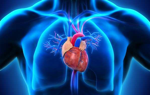 Atrial Fibrillation Market by Type (Surgical and Non-Surgical), by Technology (Radiofrequency, Laser, Cryotherapy, and Others), by End-user (Hospitals, Specialty Clinics, Electrophysiology, and Others) – Global Outlook & Forecast 2022-2030