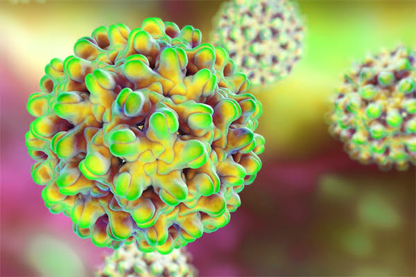 Chronic Hepatitis Therapeutics Market by Drug Class (Interferons Alphas, NS5A Inhibitors Nucleoside/Nucleotide Analogues) by Distribution Channel (Hospital Pharmacies, Retail Pharmacies) – Global Outlook & Forecast 2024-2032