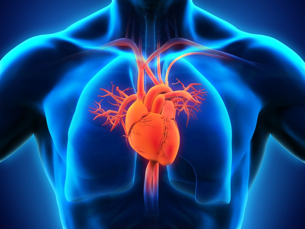 Heart Failure Market by Type (Acute Heart Failure and Chronic Heart Failure) and by Therapeutic Drugs (Cardiac Glycosides, Sympathomimetic Agents, Phosphodiesterase III Inhibitors, Diuretics, Aldosterone Antagonist, Vasodilators, and Beta-Blockers) – Global Outlook & Forecast 2022-2030
