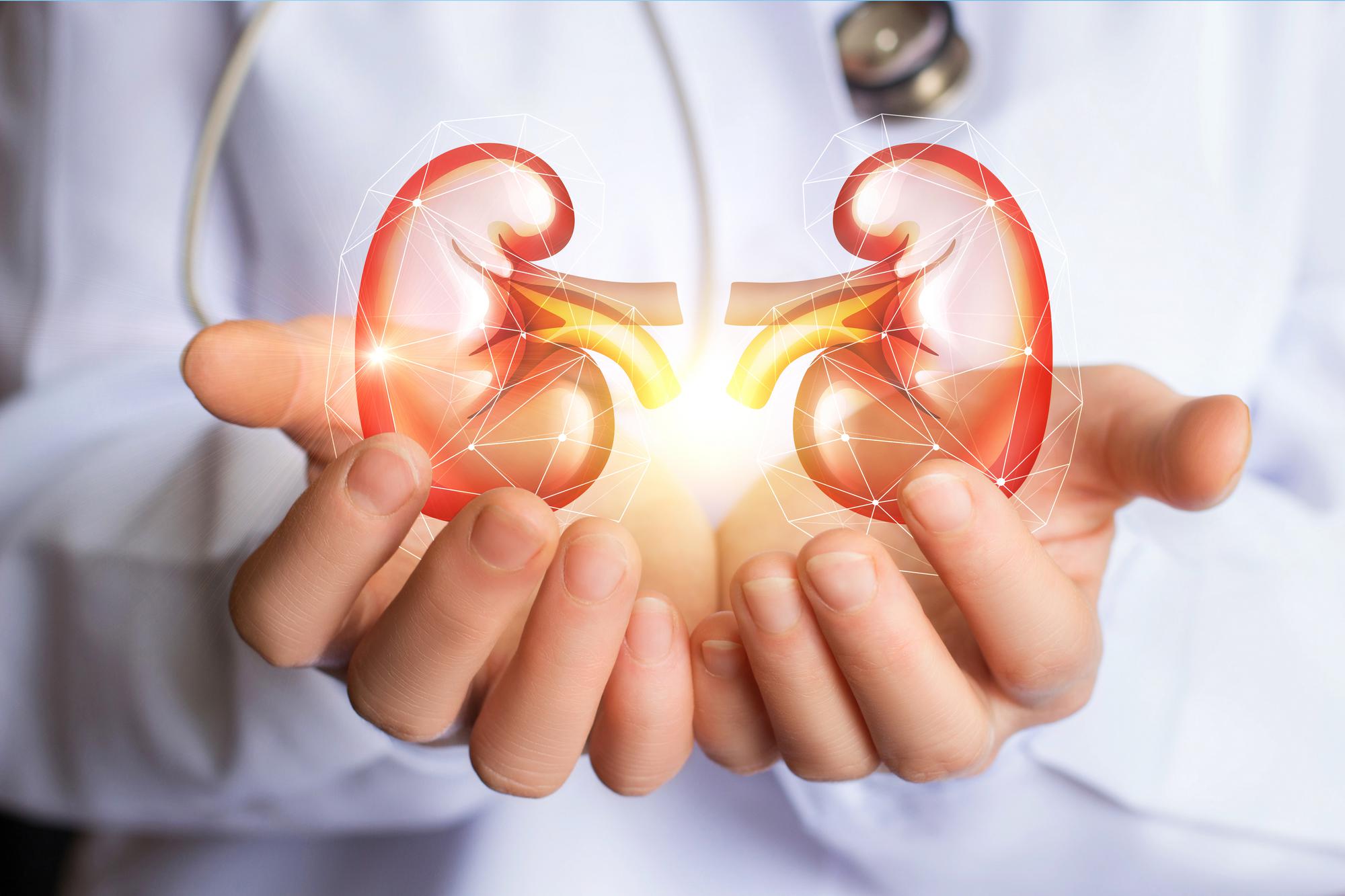 Diabetic Nephropathy Market by Drug Class (Angiotensin-Converting Enzyme (ACE) Inhibitors, Angiotensin Receptor Blockers, Sodium Glucose Cotransporter 2 (SGLT2) Inhibitors, Mineralocorticoid Receptor Antagonists, and Others), by Distribution Channel (Hospital Pharmacies, Retail Pharmacies, and Online Pharmacies) - Global Outlook & Forecast 2022-2030