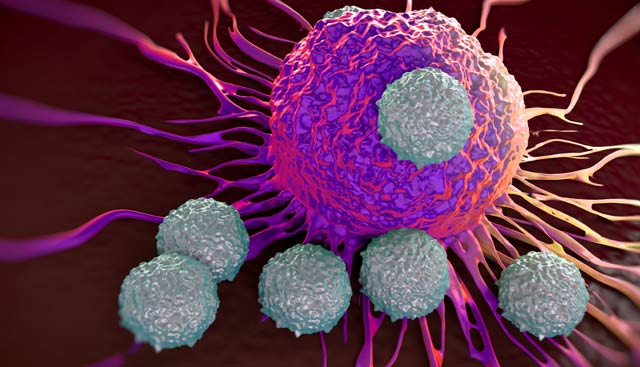Immunology Market by Drug Class (Monoclonal antibody (mAb), Polyclonal antibody(pAb), Fusion Protein, Immunosuppressants and Others), by Disease Indication (Rheumatoid Arthritis, Psoriatic, Arthritis, Plaque Psoriasis, Ankylosing Spondylitis, Inflammatory Bowel Disease, Prophylaxis of Organ Rejection, and Others), by Distribution Channel (Hospital, Retail and Online Pharmacies) Global Outlook & Forecast Period 2022-2030
