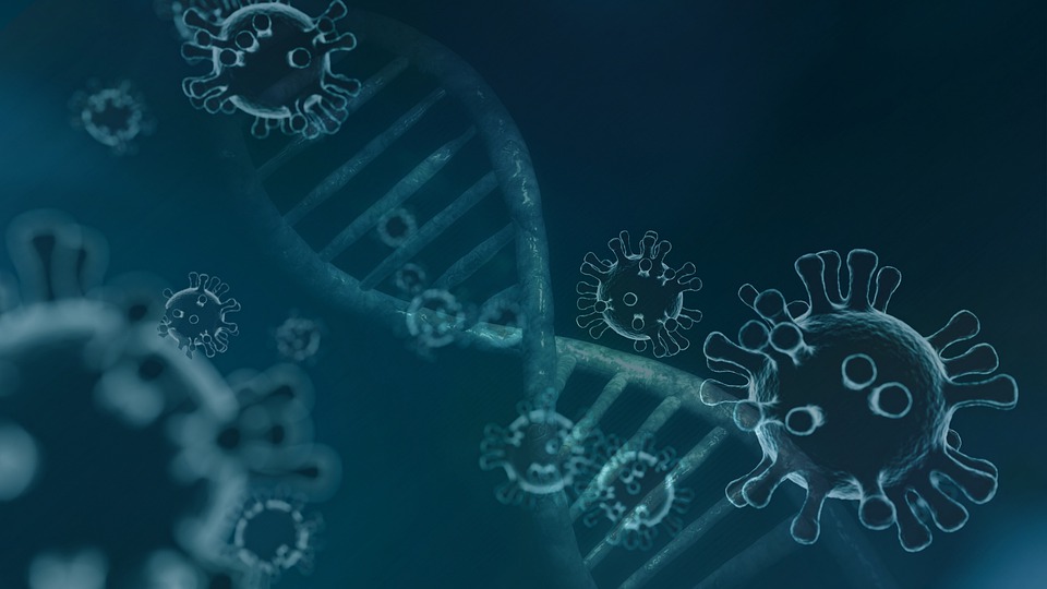 RNAi Therapeutics Market by Disease Type (RNA Interference and RNA Antisense), by Application (Oncology, Ocular Disorders, and Respiratory Disorders), by End-user (Research Institutes and Hospitals & Clinics) – Global Outlook & Forecast 2022-2030