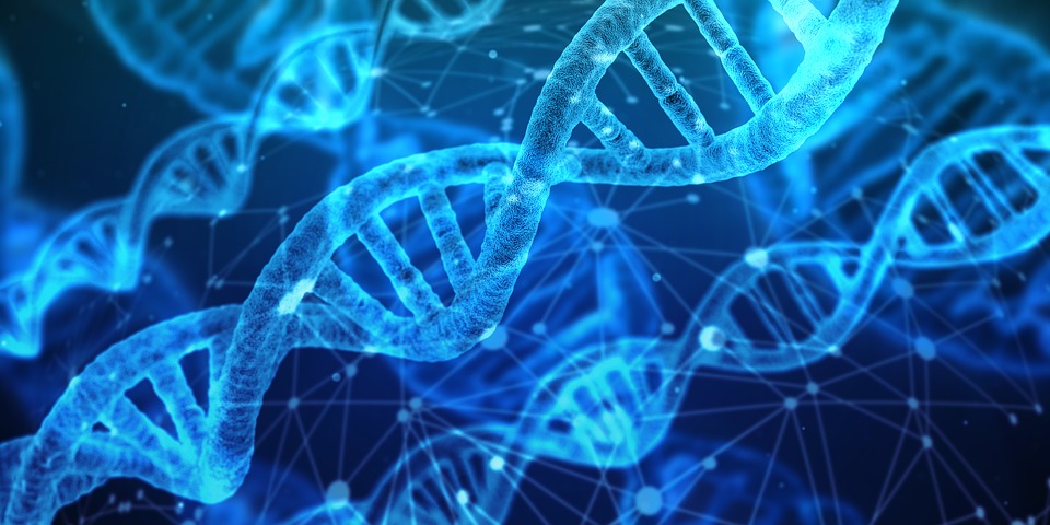 Whole Exome Sequencing Market by Products & Services (Systems, Kits,), Technology (ION Semiconductor Sequencing), Application (Diagnostics, Drug Discovery), End-user (Research, Biopharmaceuticals) â€“ Global Outlook & Forecast 2022-2030