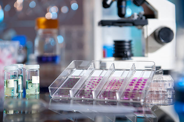 Histopathology Services Market by Application (Surgical Specimen, Breast Biopsy, and Liver Biopsy) End-user (Laboratories & Reference Laboratories and Research Institutes) – Global Outlook & Forecast 2022-2030