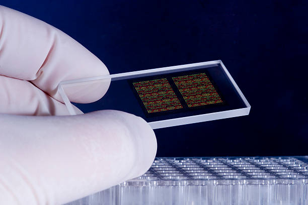 Biochips Market by Type (DNA Chips, Lab-on-Chip), by End User (Biotechnology and Pharmaceutical Companies, Hospitals, Diagnostic Centres) – Global Outlook and Forecast 2022-2030
