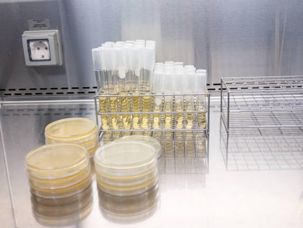 Cell Culture Consumables Market by Type (Serum, Media, Reagents, Equipment), By Application (Biopharmaceuticals, Drug Development) – Global Outlook & Forecast 2022-2030