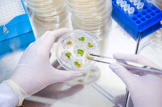 Global Bioburden Testing Market by Product (Instruments, Consumables), by Application (Raw Material Testing, In-Process Material Testing), by Test Type (Aerobic Count Testing) and by End User (Pharma & Biotech Companies) – Global Outlook & Forecast 2022-2030