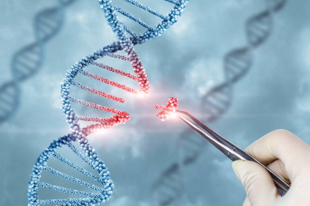 Global Genome Editing Market by Technology (CRISPR/Cas9, TALENs), Application (Genetic Engineering), Delivery Method (Ex-vivo, In-vivo), Mode (In-house, Contract), End User (Biotechnology & Pharmaceutical Companies) – Global Outlook & Forecast 2022-2030