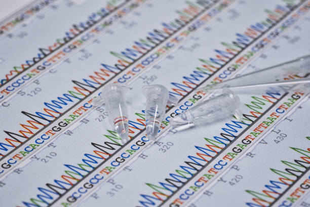 Long-read sequencing Market by Product (Consumables, Services), Technology (SMRT, Nanopore Sequencing), Workflow (Sequencing), Application (Pseudogene Discrimination), End-user (Academic Research) – Global Outlook & Forecast 2023-2031