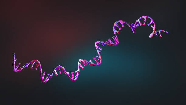MiRNA Sequencing and Assay Market by Product (Sequencing Consumables, Library Preparation Kits), by Technology (Sequencing by Synthesis, Ion Semiconductor, SOLiD, Nanopore Sequencing), by End User (Clinical Laboratory, Life science Organization, and Others) – Global Outlook & Forecast 2023-2031