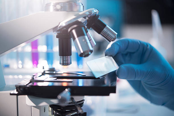 Anatomic Pathology Market by Product and Services (Consumables, Instruments), Application (Disease Diagnosis, Drug Discovery & Development), and End User (Hospitals, Research Laboratories, Diagnostic Laboratories) – Global Outlook & Forecast 2023-2031