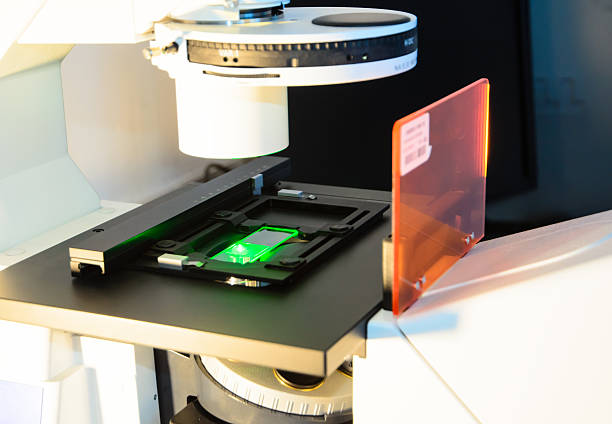 Microarray Gene Chip Scanner Market by Type (CCD System Biochip Scanner, Laser Confocal Biochip Scanner), Application (Drug Screening, Tumor Detection) - Global Outlook & Forecast 2023-2031