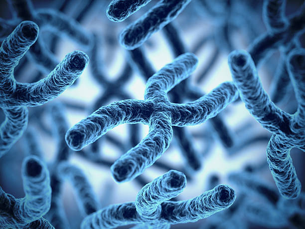 Cytogenetics Market by Product (Instruments, Consumables), Application (Genetic Disorders, Oncology) Techniques (Comparative Genomic Hybridization) End-user (Clinical & Research Laboratories) – Global Outlook & Forecast 2023-2031