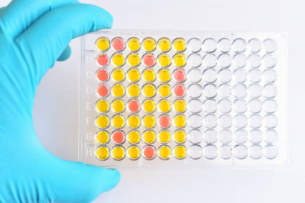 Multiplex Assay Market by Type (Protein, Cell-based Multiplex Assay), Technology (Flow Cytometry, Fluorescence Detection), Application (Research & Development, Clinical Diagnostics), End-user (Pharmaceutical & Biotechnology Companies, Hospitals & Diagnostic laboratories) â€“ Global Outlook & Forecast 2023-2031