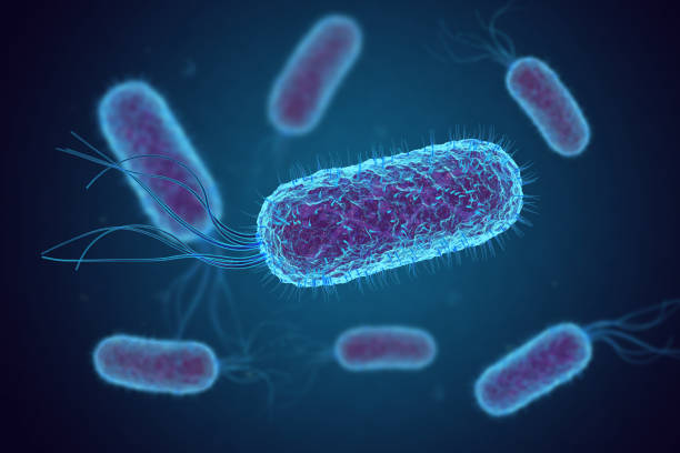 Yersinia Diagnostics Market by Test (ELISA, Stool Culture, Radioimmunoassay, CT Scan), Technique (DNA Probes, PCR, Immunoassay, Monoclonal Antibodies) - Global Outlook & Forecast 2023-2031