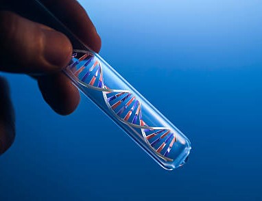 Cancer Gene Therapy Market by Therapy Type (Gene-Induced Immunotherapy, Gene Transfer), Indication (Lung Cancer, Prostate Cancer), End-user (Academic & Research Institutes, Biopharmaceutical Companies) - Global Outlook & Forecast 2023-2031