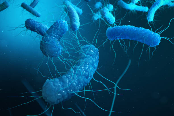 Clostridium Difficile Infections Treatment Market by Drug (Metronidazole, Vancomycin), Distribution Channel (Hospital Pharmacies, Retail Pharmacies) - Global Outlook and Forecast 2023-2031