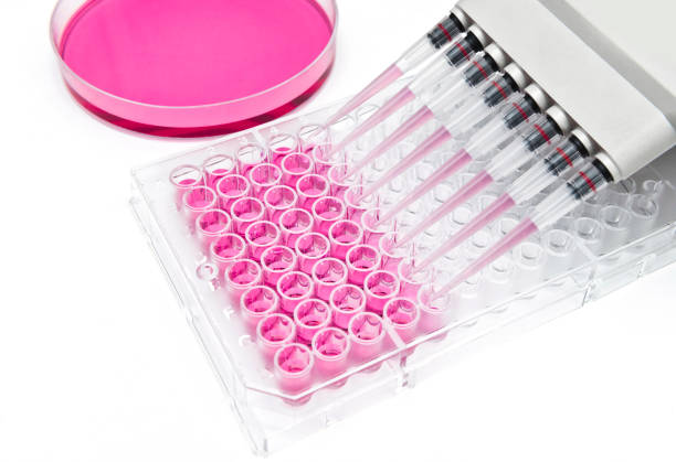 Stem Cell Assays Market by Type (Viability/Cytotoxicity Assays, Isolation & Purification Assays), Product (Instrument, Kits), Cell Type (Adult Stem Cells, Human Embryonic Stem Cells), Application (Regenerative Medicine and Therapy Development, Drug Delivery and Development), End User (Biopharmaceutical & Biotechnology Companies, Academic and Research Institutes) - Global Outlook and Forecast 2023-2031