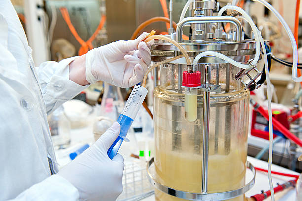 Bioprocess Containers Market by Type (2D Bioprocess Containers, 3D Bioprocess Containers), Application (Upstream Process, Downstream Process), End User (Pharmaceutical & Biopharmaceutical Companies) - Global Outlook and Forecast 2023-2031