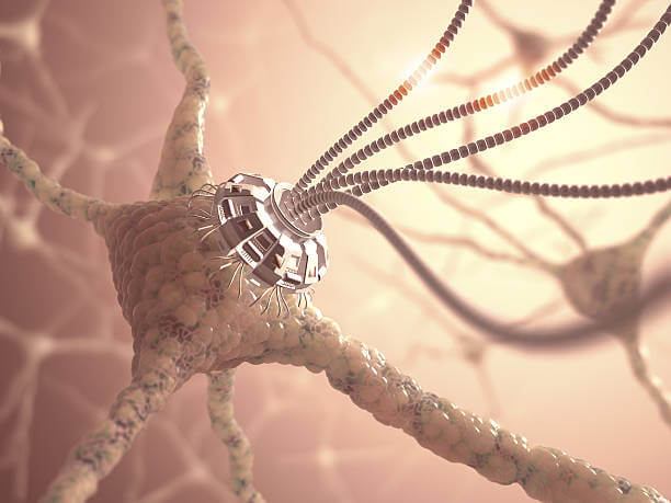 Neuronal Ceroid Lipofuscinoses Cln1 Market by Therapy (Drug Therapy, Enzyme Replacement Therapy), Age Group (Infantile, Juvenile) - Global Outlook and Forecast 2023-2031