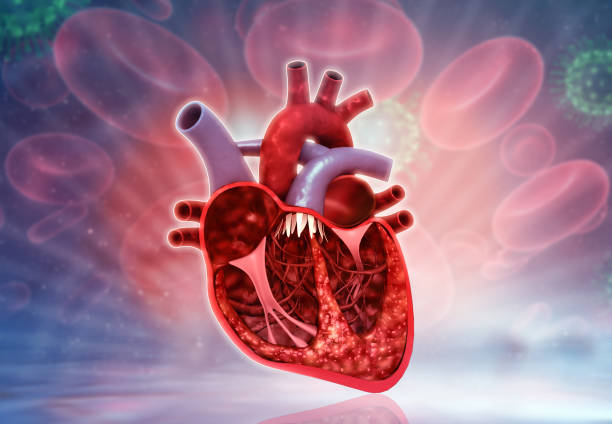 Cardiology Stem Cells Market by Types of Cells (Embryonic Stem Cells, Cord Blood Stem Cells, and Amniotic Fluid Stem Cells), Source (Autologous, Allogenic), Application (Heart Failure, Myocardial Infarction), End User (Pharmaceutical & Biotechnology Companies, Academic & Research Institutes) - Global Outlook and Forecast 2023-2031