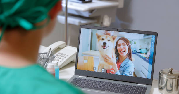 Veterinary Telehealth Market by Animal Type (Farm Animals, Companion Animals), Service Type (Teleconsulting, Telemonitoring) – Global Outlook & Forecast 2023-2031