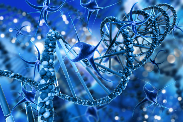 Gene Therapy in CNS Disorder Market by Indication (Alzheimer's Disease, Huntington's Disease, Parkinson's Disease), Type (Ex Vivo, In Vivo), End User (Hospitals, Speciality Clinics) – Global Outlook & Forecast 2023-2031