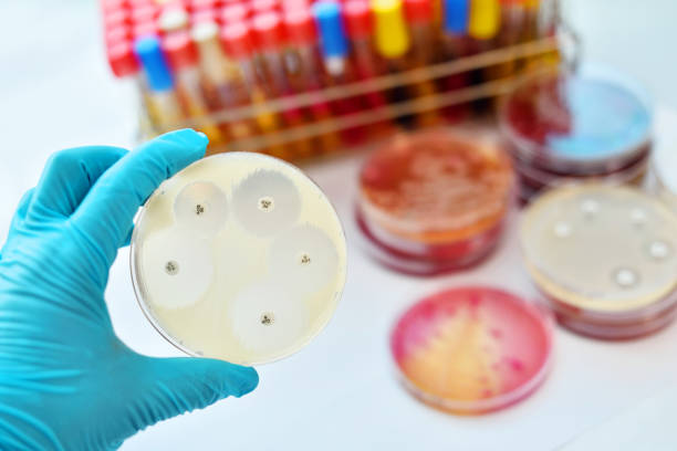 Fungal Testing Kits Market by Test Type (Chromogenic Test, Molecular Test), Sample Type (Skin, Vaginal Secretion), Application (Susceptibility Testing, Research), and End User (Hospitals, Diagnostic Laboratories) – Global Outlook & Forecast 2023-2031