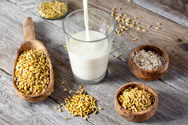 Lactose Market by Application (Pharmaceutical Industry, Food Industry), Form (Powder, Granule) – Global Outlook & Forecast 2023-2031