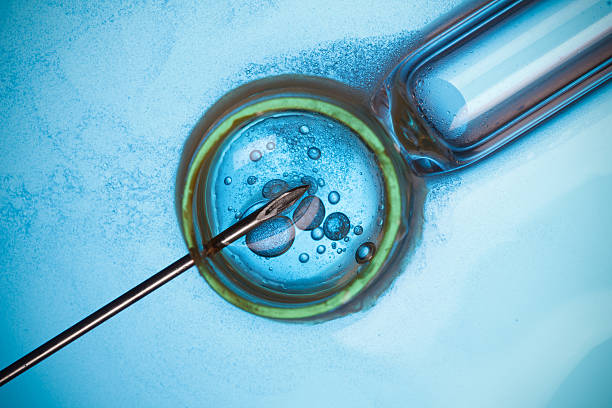 Intrauterine Insemination Devices Market by Product (Intrauterine Insemination Catheters, Intrauterine Insemination Media/ Sperm Wash), End User (Hospitals, IVF Clinics) – Global Outlook & Forecast 2023-2031