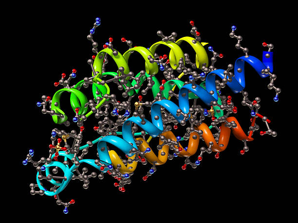 Drug Metabolizing Enzyme Market by Type (Cytochrome P450, Sulfotransferase, UDP-glucuronosyltransferase), Application (Personalized medicine, Drug Discovery & Development, Diagnostic Testing) – Global Outlook & Forecast 2023-2031