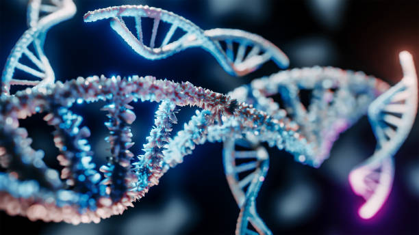 Mammalian Transient Protein Expression Market by Product Type (Reagents & Consumables, Instruments), Application (Functional Cell-Based Assays, Bio-Production), and End User (Biopharmaceutical Companies, Contract Research Organization) – Global Outlook & Forecast 2023-2031