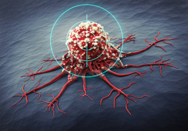 Germ Cell Tumor Market by Tumor Type (Seminoma, Non-Seminoma), Treatment Type (Chemotherapy, Targeted Therapy), End User (Hospitals & Clinics) – Global Outlook & Forecast 2023-2031