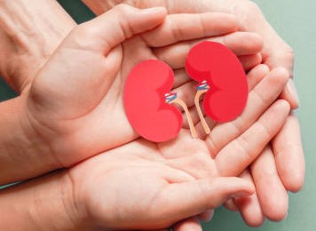 Wilms Tumor Treatment Market by Type (Anaplastic, Blastemal), Drug Type (Dactinomycin, Vincristine), Distribution Channel (Hospital Pharmacies, Retail Pharmacies) – Global Outlook & Forecast 2023-2031