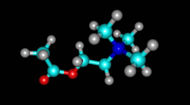 Muscarinic Agonists Market by Drug Type (Pilocarpine, Bethanechol), Indication (Chronic Obstructive Pulmonary Disease (COPD), Asthma), Route of Administration (Oral, Ocular) – Global Outlook & Forecast 2021-2031