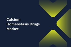 Calcium Homeostasis Drugs Market by Drug Class (Calcium Metabolism Modifiers, Parathyroid Hormone Analogs), Indication (Hypocalcemia, Hypercalcemia), Distribution Channel (Hospitals Pharmacies, Retail Pharmacies) – Global Outlook & Forecast 2023-2031