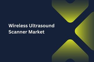 Wireless Ultrasound Scanner Market by Product (Handheld Wireless Ultrasound Scanners, Portable Wireless Ultrasound Scanners), Application (Acute Care Units, Emergency Rooms), End User (Diagnostic Centers, Specialty Clinics) – Global Outlook & Forecast Period 2023-2031