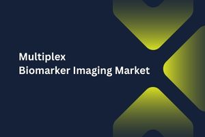 Multiplex Biomarker Imaging Market by Component Type (Instruments, Software), Imaging Techniques (Immunohistochemistry, Fluorescent In-situ Hybridization), Application (Research, Clinical Diagnostics), End User (Translational Laboratory, Biopharmaceuticals) – Global Outlook & Forecast 2023-2031