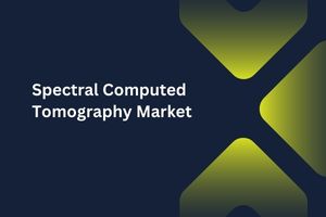 Spectral Computed Tomography Market by Indication (Oncology, Cardiological Diseases), Product Type (Spiral CT, Electron Beam Tomography), Technology (Dual-layer Detector, Gemstone Spectral Imaging Detector), End User (Hospitals, Private clinics) – Global Outlook & Forecast 2023-2031