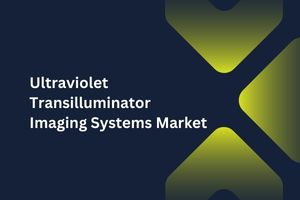 Ultraviolet Transilluminator Imaging Systems Market by Type (Standalone, Portable), End User (Pharmaceutical and Biotechnology Companies, Academic Institutions) – Global Outlook & Forecast 2023-2031