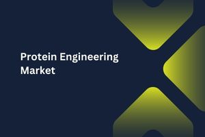 Protein Engineering Market by Protein Type (Monoclonal Antibodies, Insulin, Vaccines), Technology (Directed Evolution, Hybrid Approach, Rational Protein Design), Product Type (Instruments, Reagents), End User (Academic Institutions, Contract Research Organizations (CROs))-Global Outlook & Forecast 2023-2031