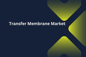 Transfer Membrane Market by Type (PVDF, Nitrocellulose), Transfer Method (Dry Electrotransfer, Semi-Dry Electrotransfer), Application (Western Blotting, Southern Blotting), End User (Academic & Research Institutes) â€“ Global Outlook & Forecast 2023-2031